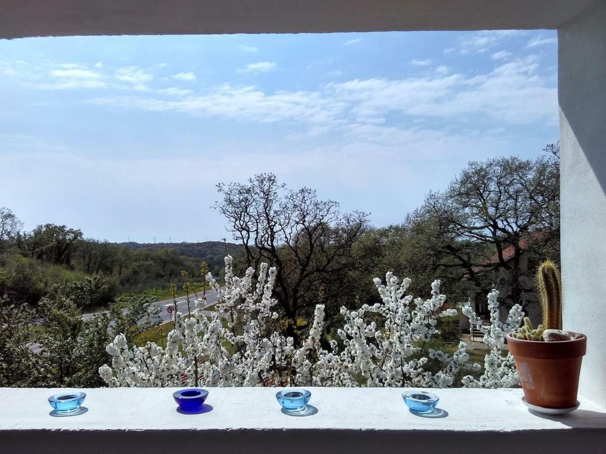 Apartman Garma Rovinj Ngoại thất bức ảnh